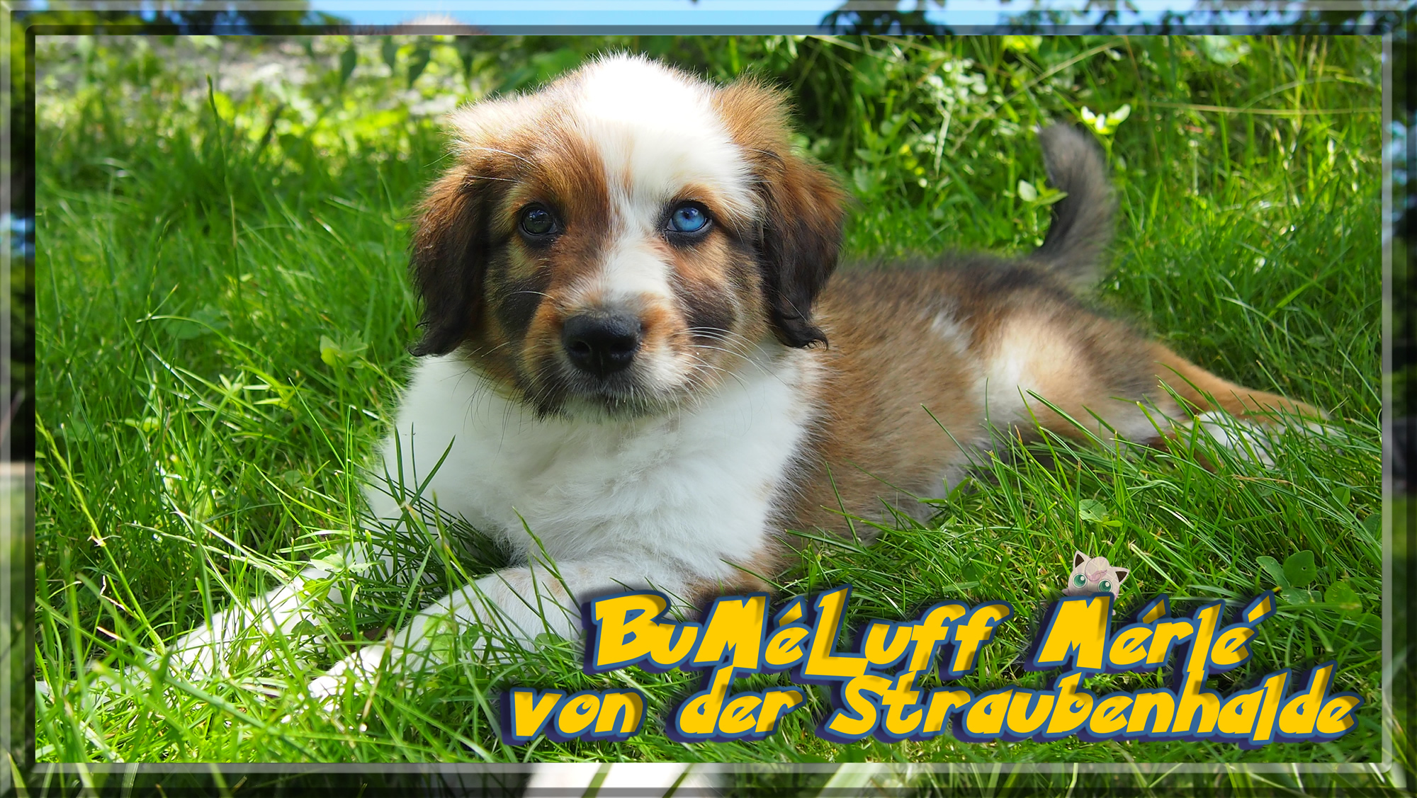 W&auml;ller von der Straubenhalde